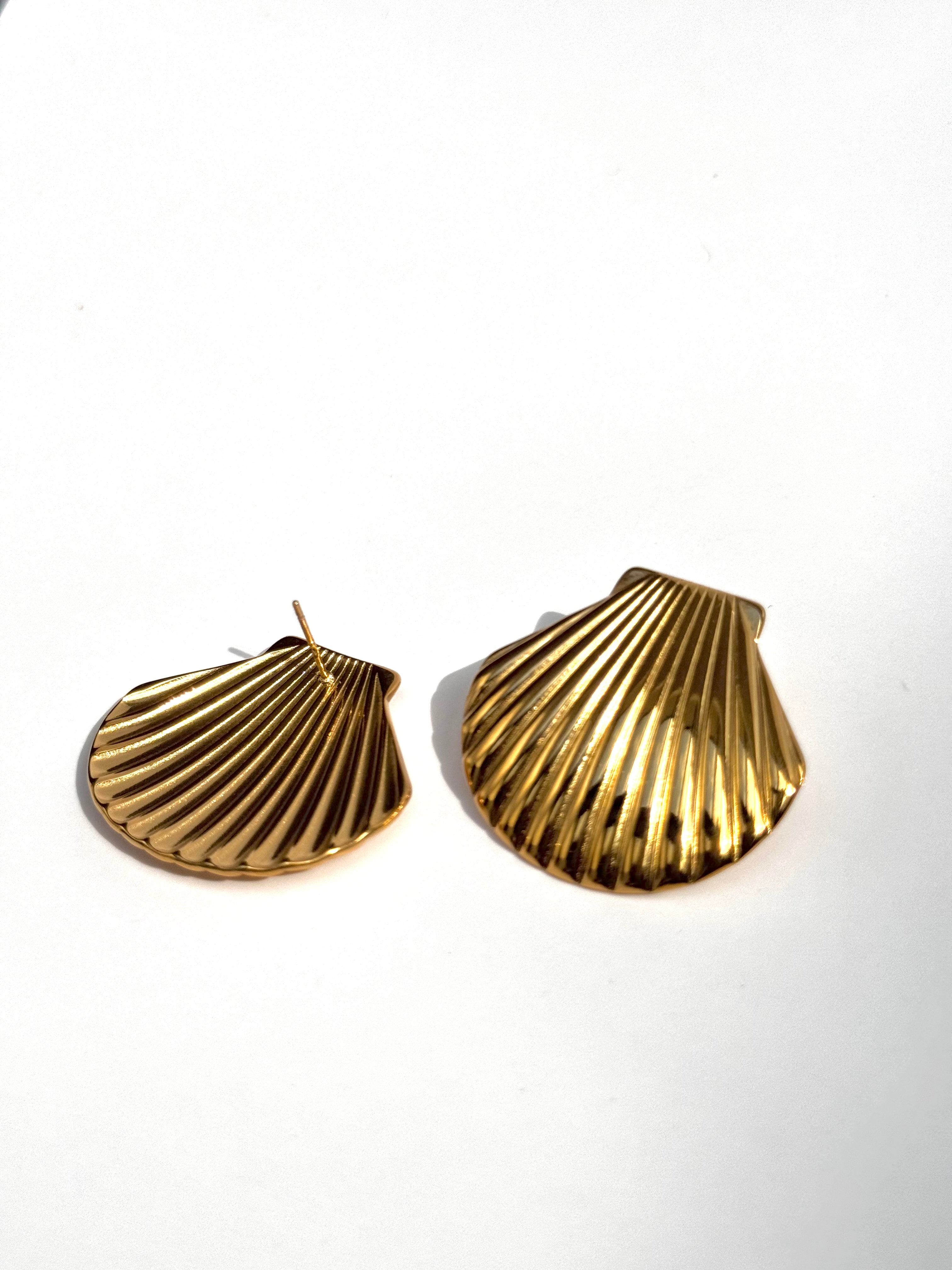 Seashell Earrings