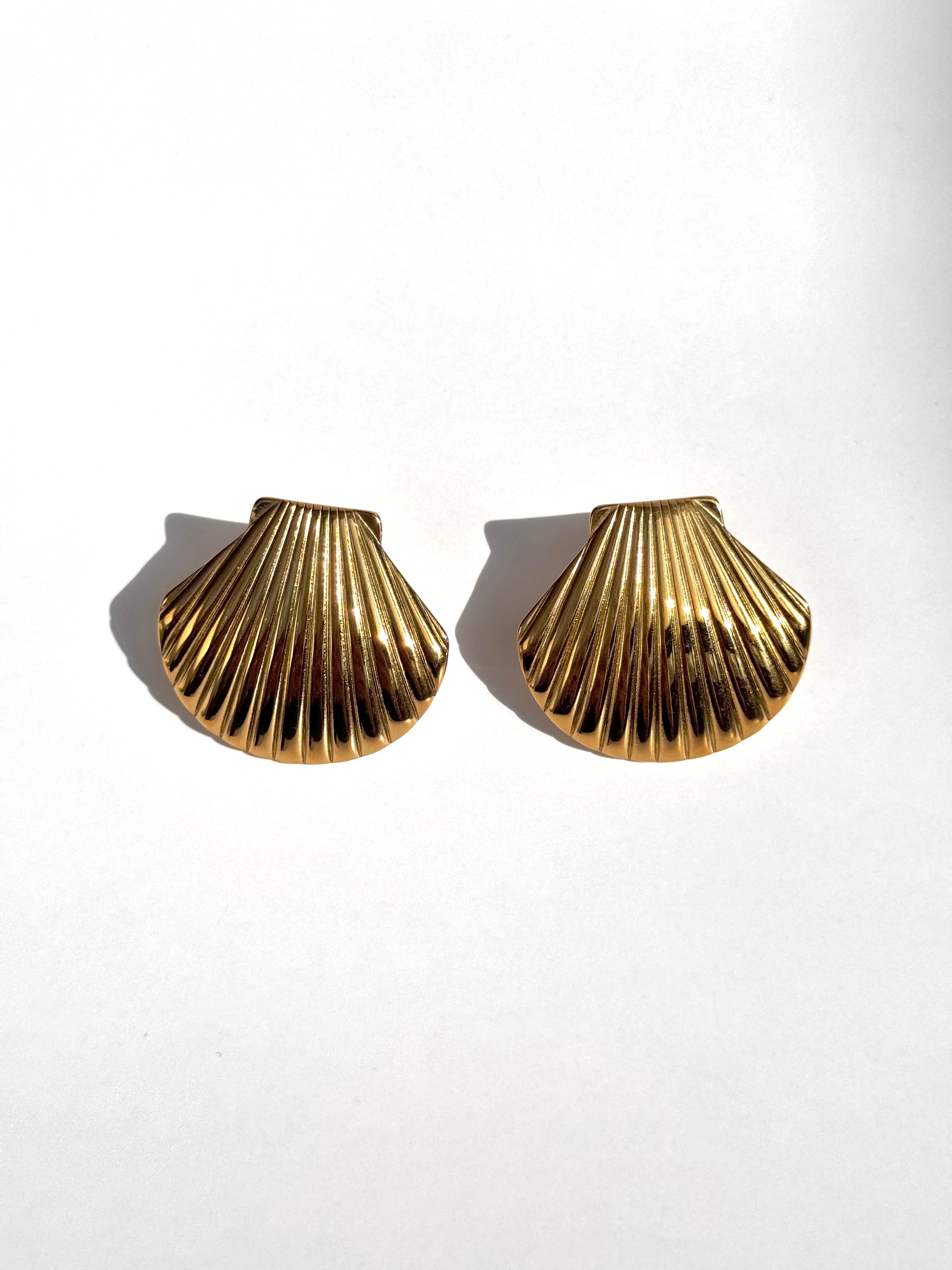 Seashell Earrings