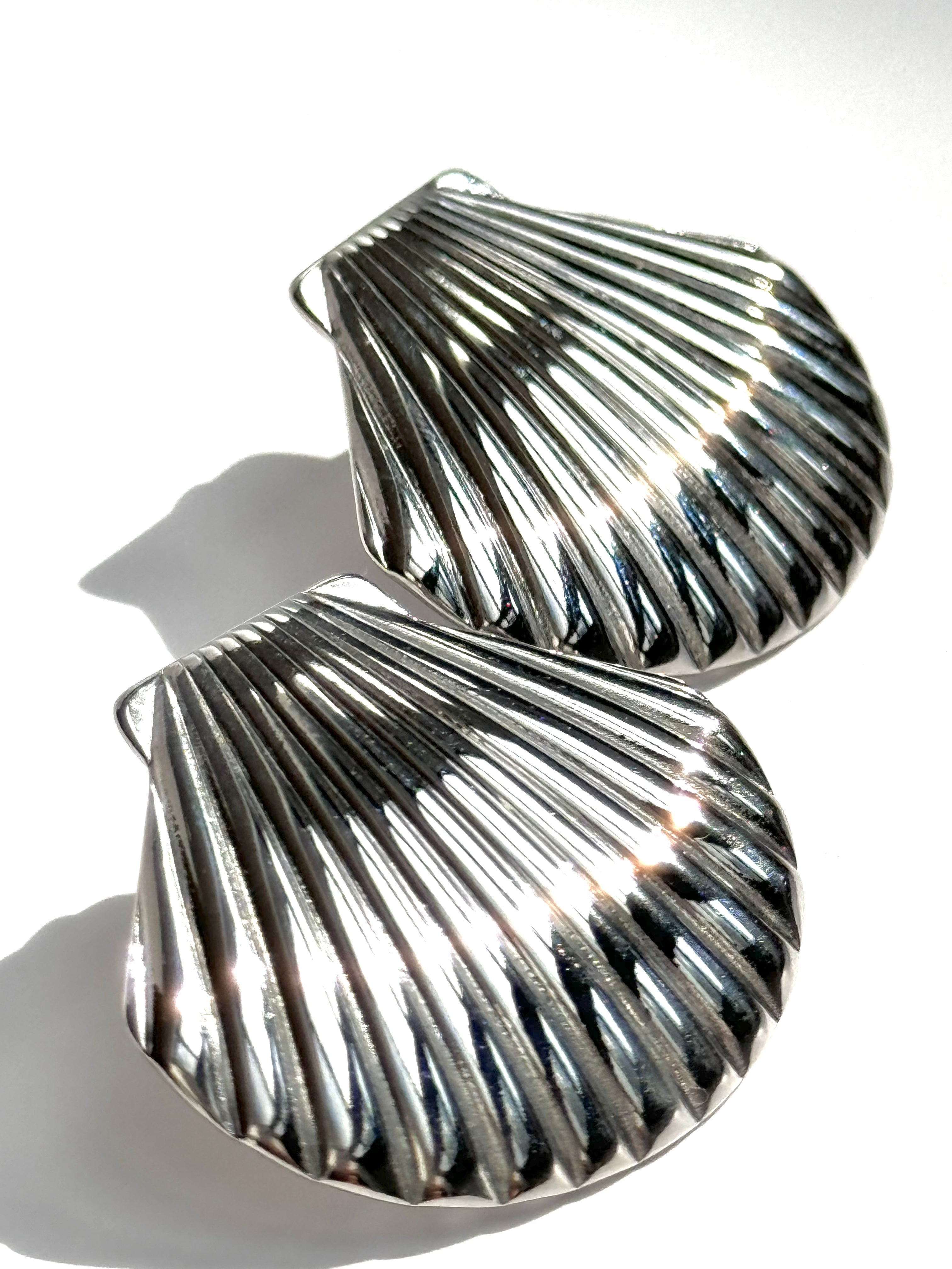 Seashell Earrings