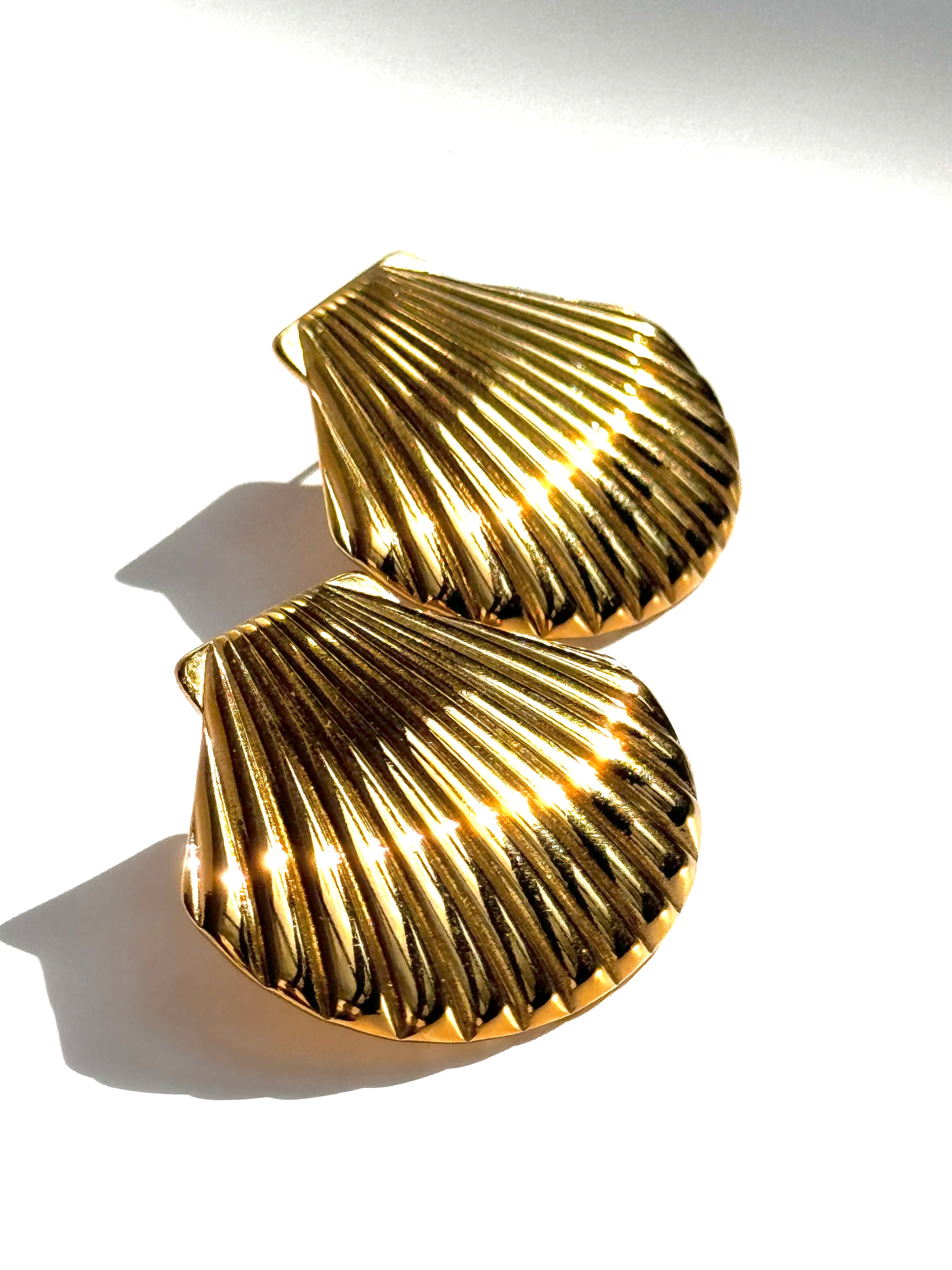 Seashell Earrings
