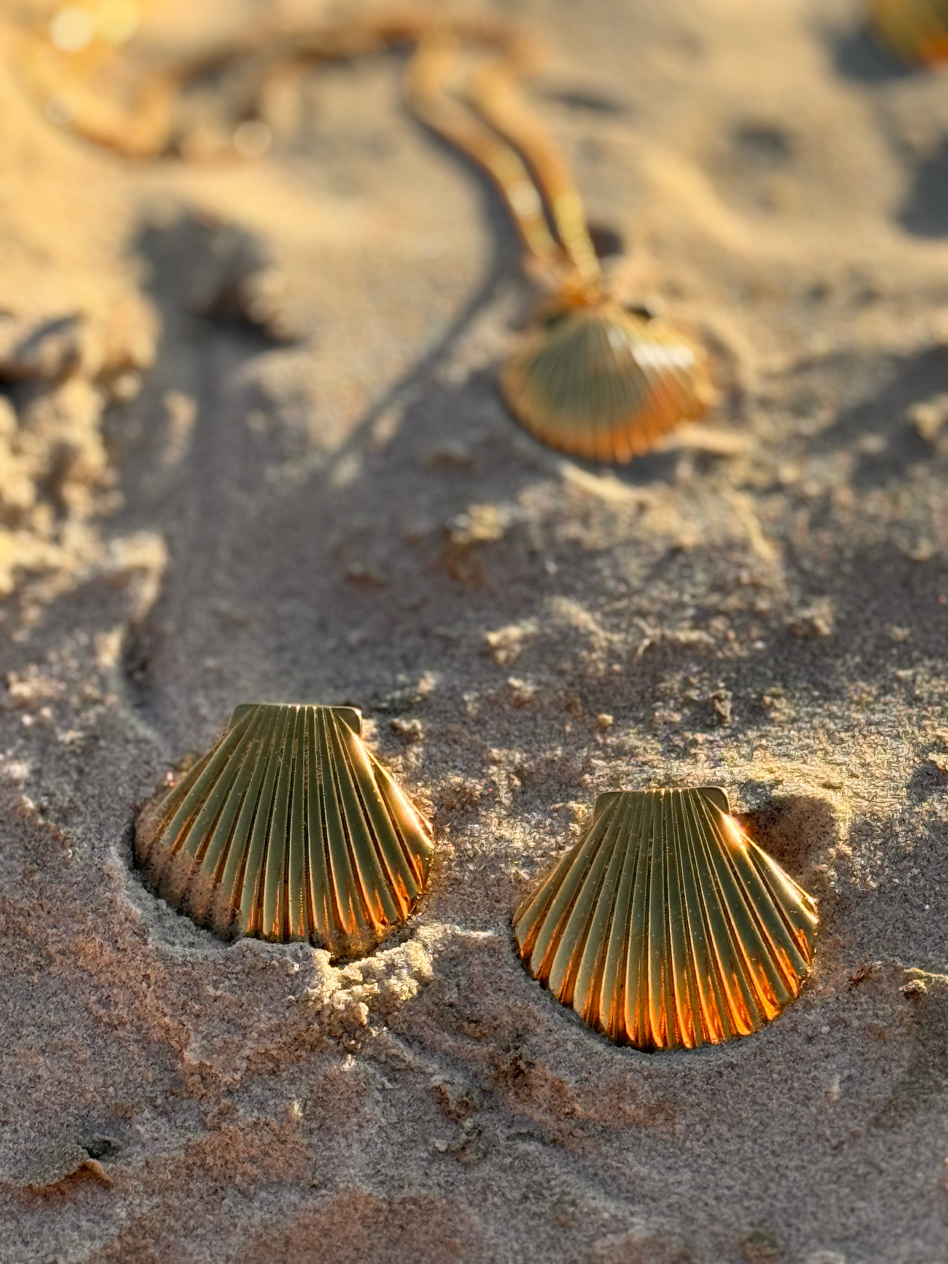 Seashell Earrings