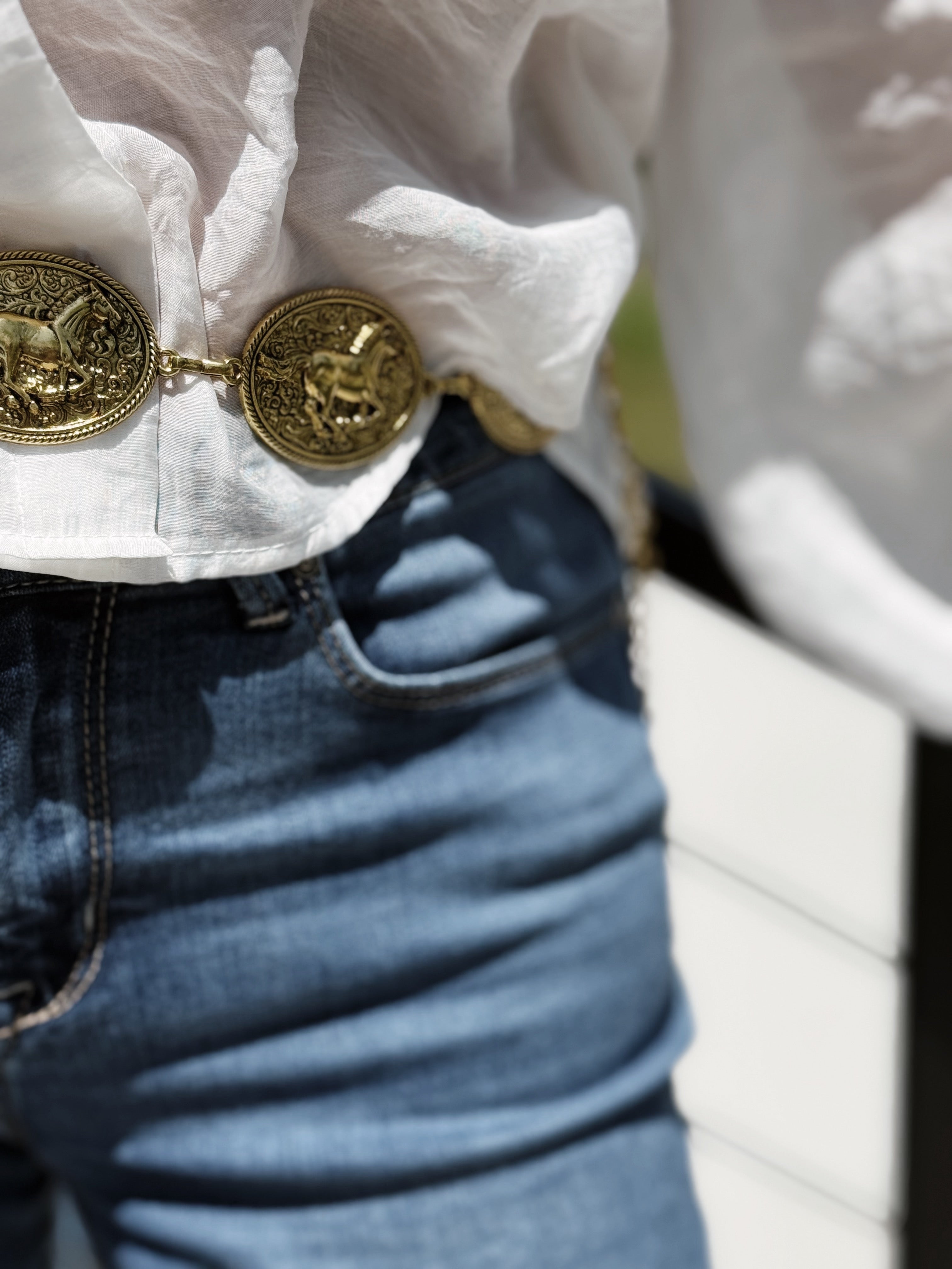 Horse Coin Belt