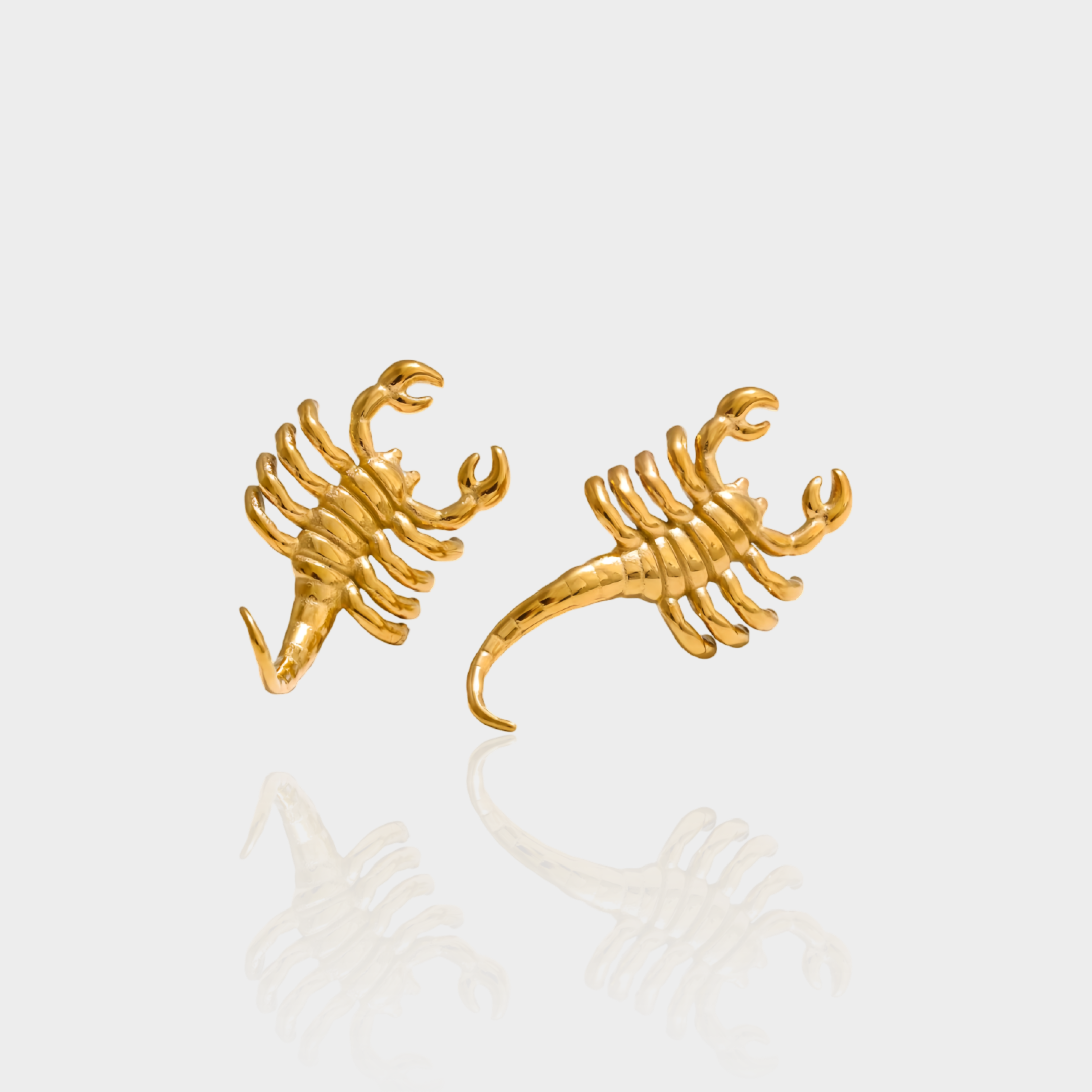 Scorpio Earrings
