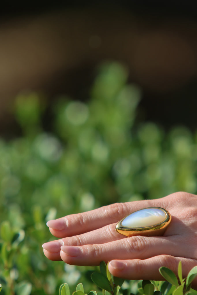 Pine Ring