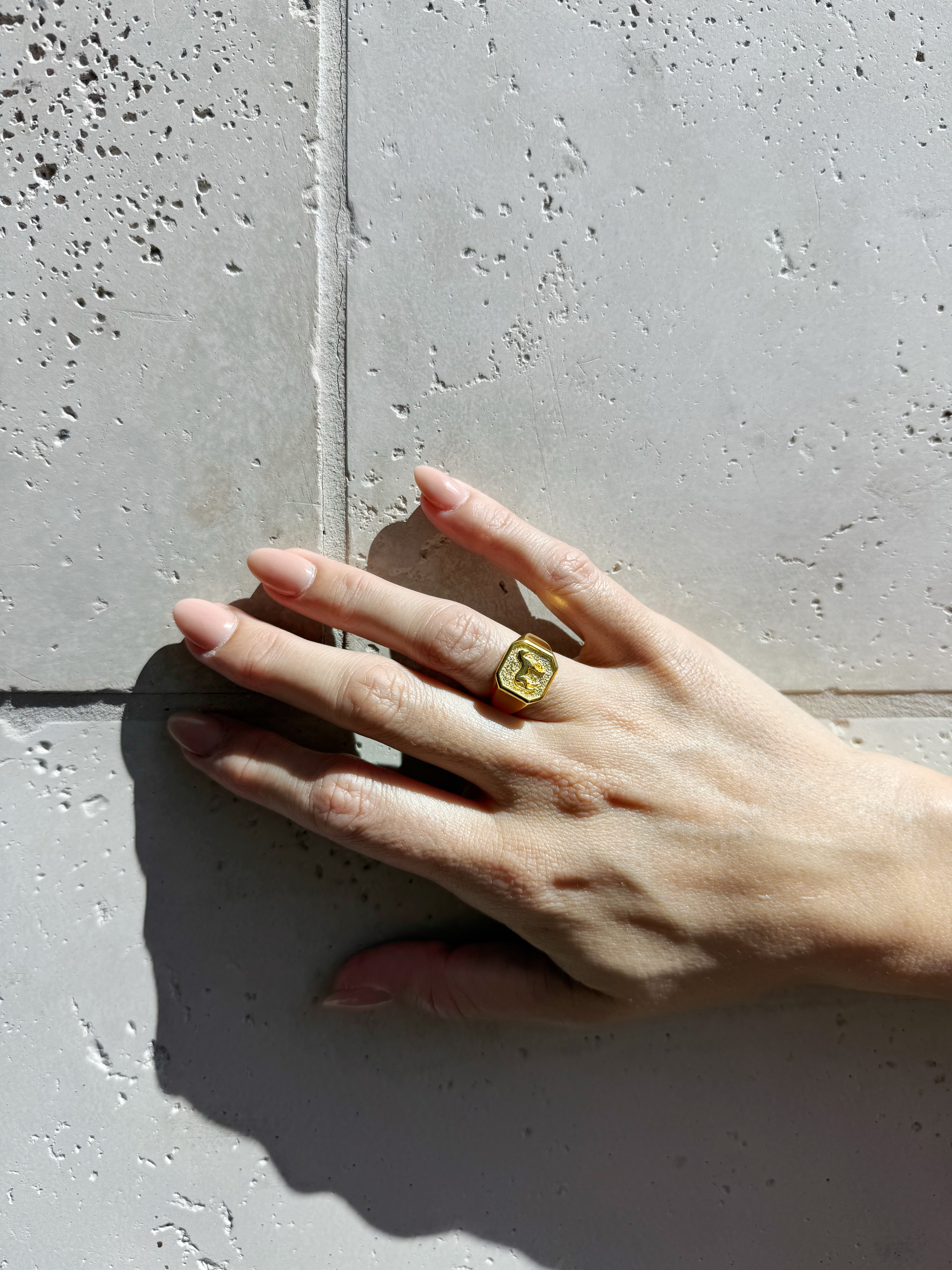 Horse Adjustable Ring