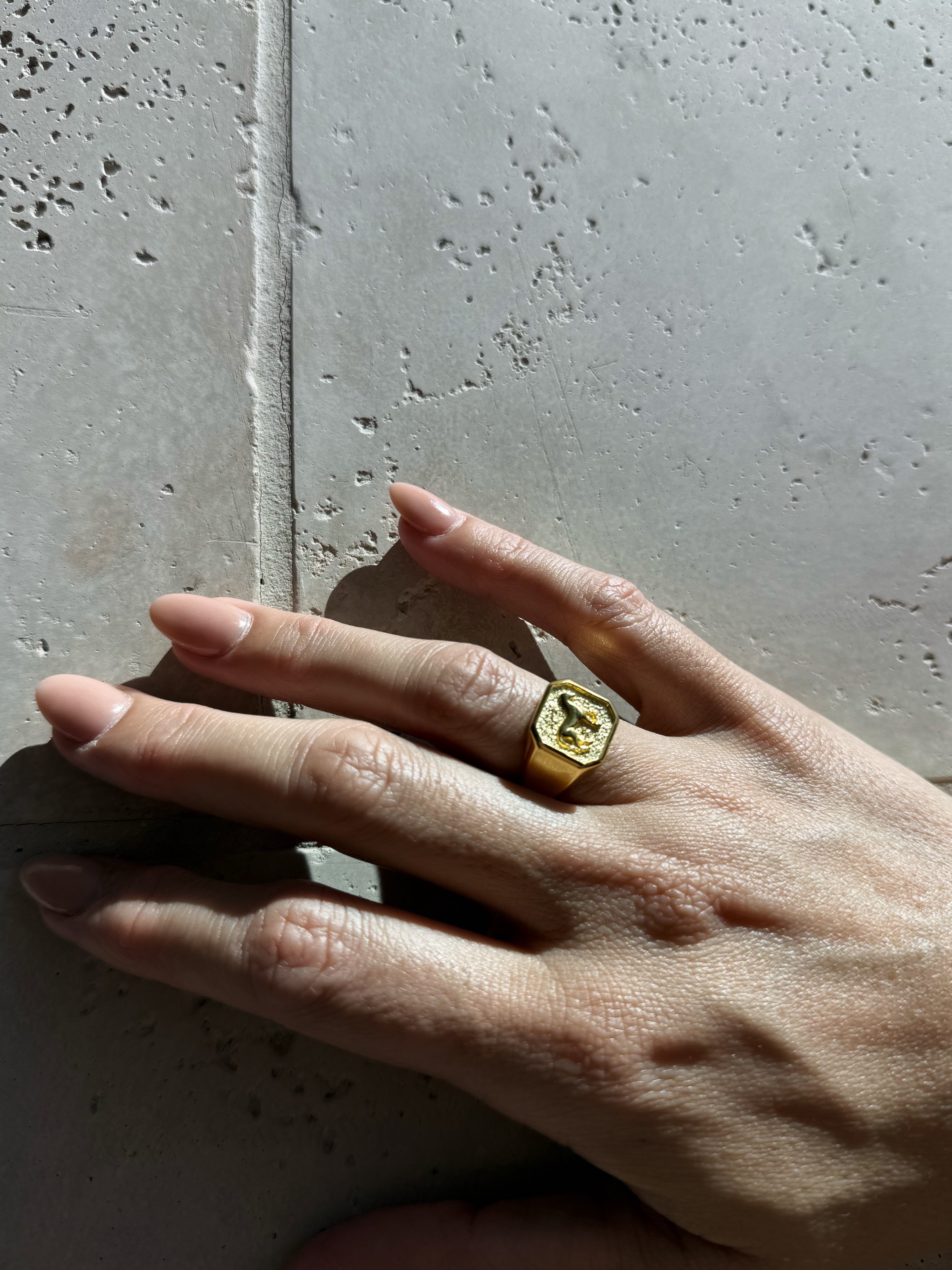 Horse Adjustable Ring